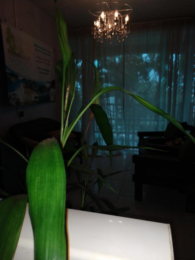 Pousada Guesthouse Kazapraia ポンタウ・ド・パラナ エクステリア 写真